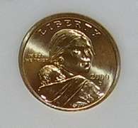 2000-D Sac Dol NGC MS-66 Super Gem