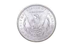 1884-CC Morgan Silver Dollar