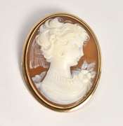 Beautifully Carved Shell Cameo