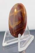 Striking 53.61ct Australian Noreena Jasper
