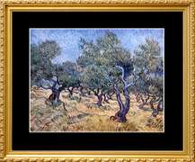 Vincent Van Gogh, Olive Orchard