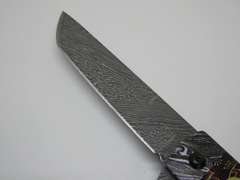 Snake Eye Tactical Spring Assist Knife