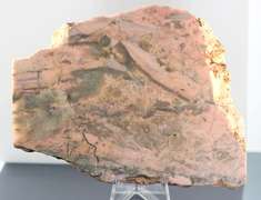 Huge! 1,675ct untreated pink Rhodochrist lapidary piece