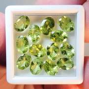 Glittering 13 piece Peridot set weighing 10cts