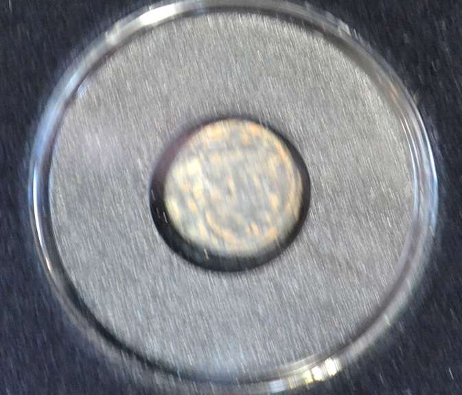 2 ANCIENT CITY OF ROME COINS BRONZE URBS 330 -346 AD W/ COA