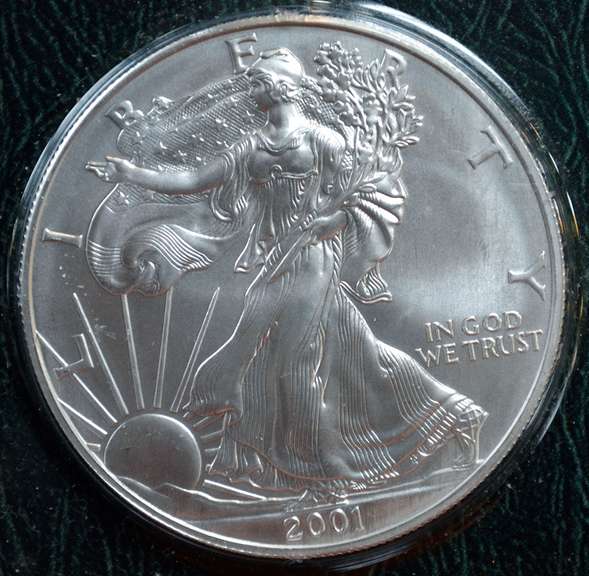 2001 Silver Eagle in Holder