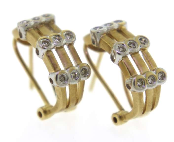 Fabulous Diamond Bezel Set & Matte Finish Earrings