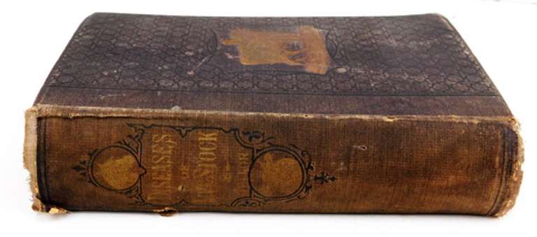 1881 Diseases of Livestock Veterinary Book