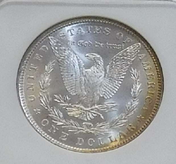 1886 Morgan Dol NGC MS-64, near Gem