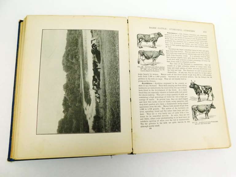 1911 Making The Farm Pay Antique Book