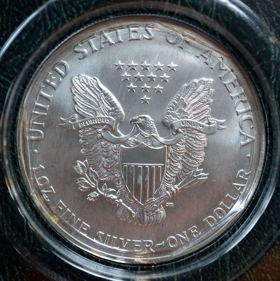 2001 Silver Eagle in Holder