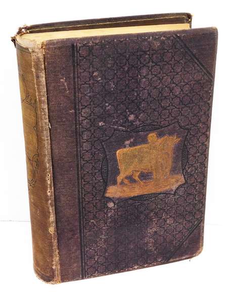 1881 Diseases of Livestock Veterinary Book