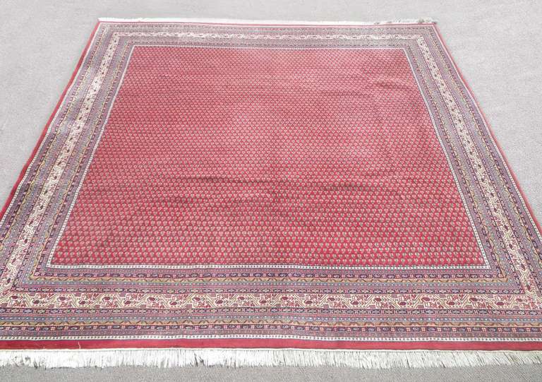 Indo Sarouk Mir Design 11.6x11.8