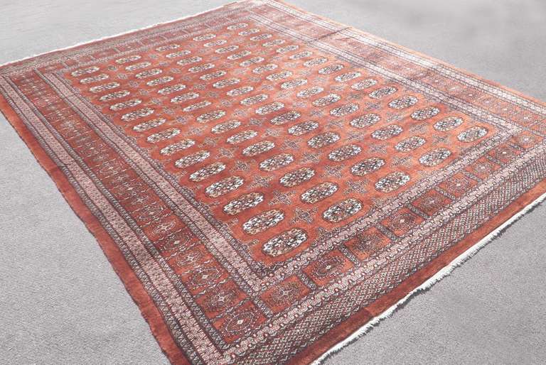 Handmade Bokhara Design 8.3x10.2