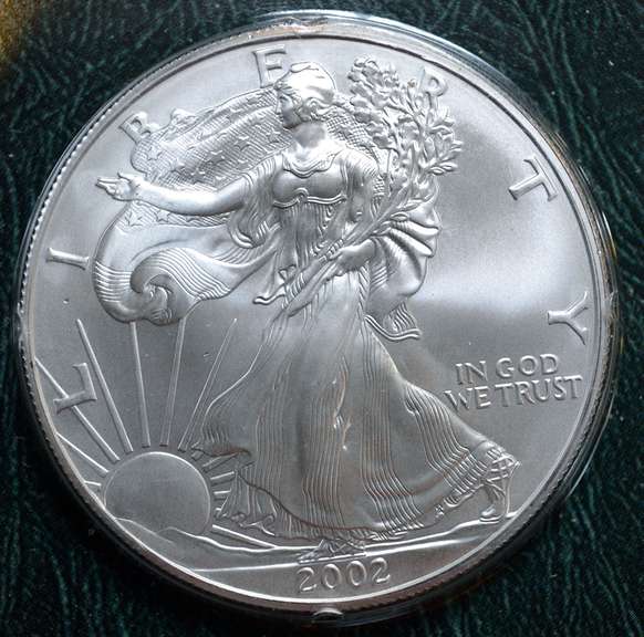 2002 Silver Eagle in Holder