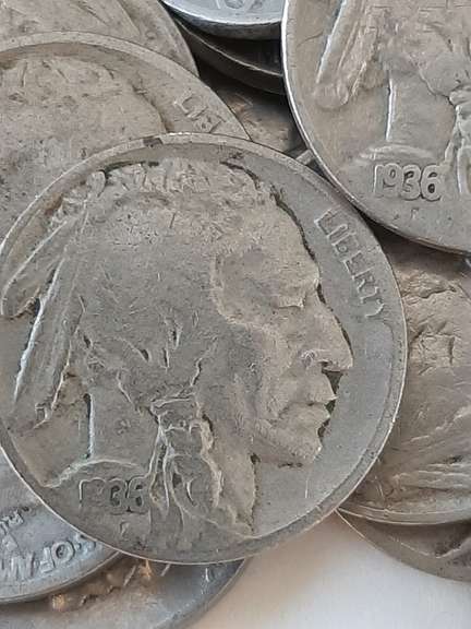 200 Unsearched Buffalo Nickels