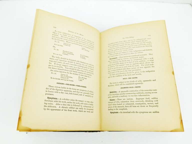 1881 Diseases of Livestock Veterinary Book