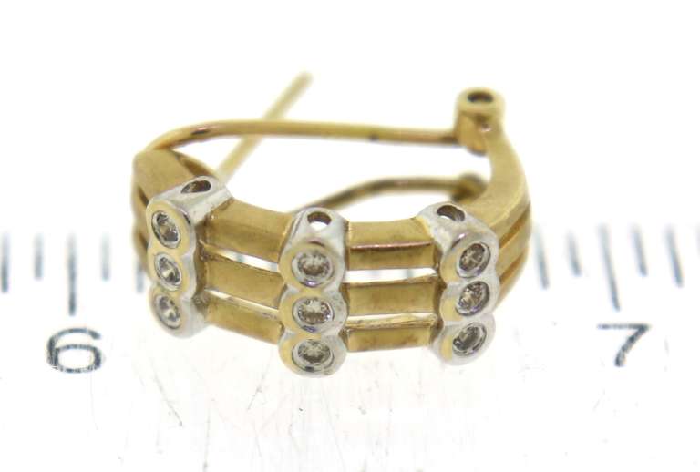 Fabulous Diamond Bezel Set & Matte Finish Earrings
