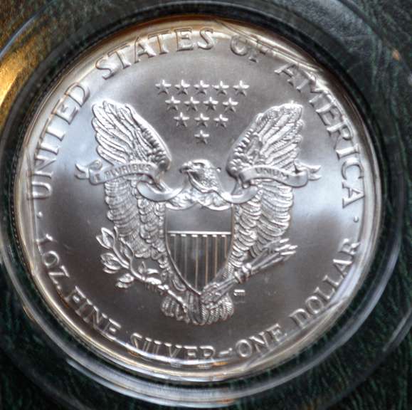 2002 Silver Eagle in Holder