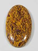 Intricate 41.32ct calligraphers stone Jasper