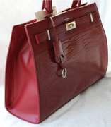 Designer Style Bag By David Jones-Paris