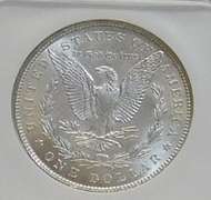 1896 Morgan Dol NGC MS-63