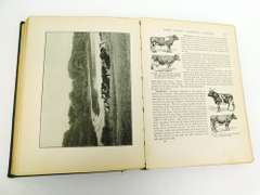 1911 Making The Farm Pay Antique Book