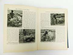 1911 Making The Farm Pay Antique Book