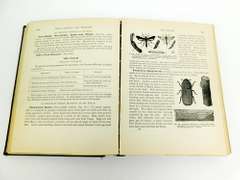 1911 Making The Farm Pay Antique Book