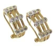 Fabulous Diamond Bezel Set & Matte Finish Earrings
