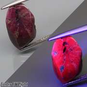 Collectors fluorescent 7.40ct Myanmar Trapiche Ruby