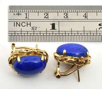 Delightful Pair of Lapis Earrings