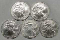 Silver Coins