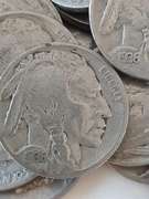 200 Unsearched Buffalo Nickels