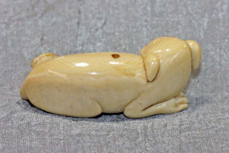 Natural Ivory Ojimi - Contented Dog