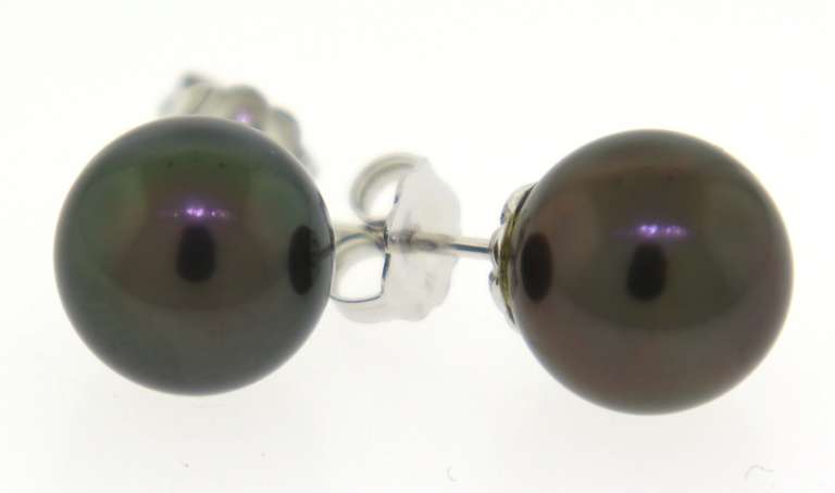 Fancy White Gold Black Pearl Stud