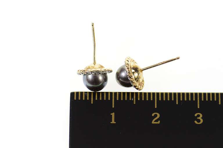 10K Yellow Gold Black Pearl Rhinestone Halo Accent Stud Earrings