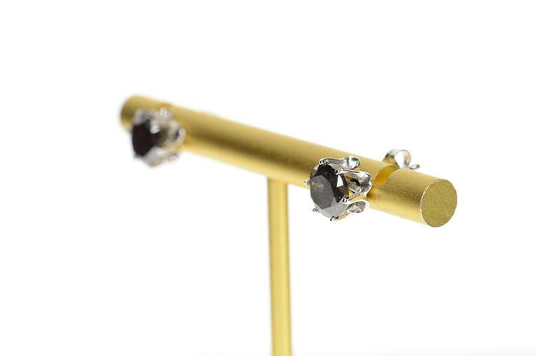 14K White Gold 3.56 Ctw Black Diamond Solitaire Stud Earrings