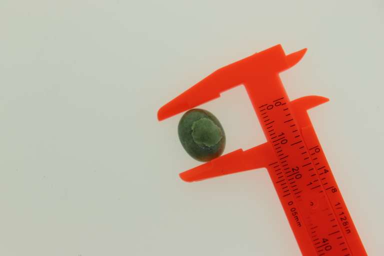 Lot of Three 24.5 CT Green Beryl Emerald Loose Gemstone