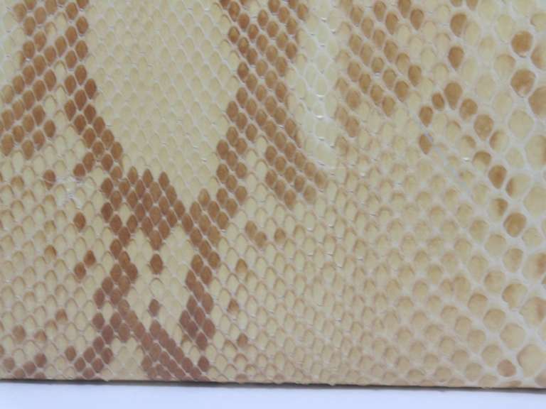 Salvator Feragamo Python Clutch