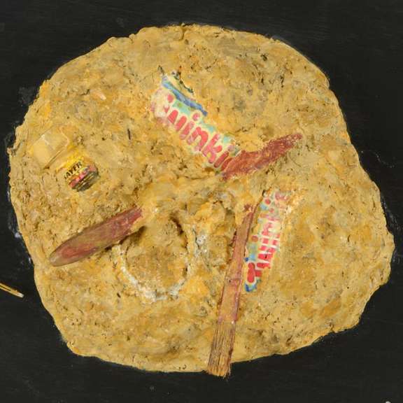 Future Fossil: Twinkies by Pergola, Tom