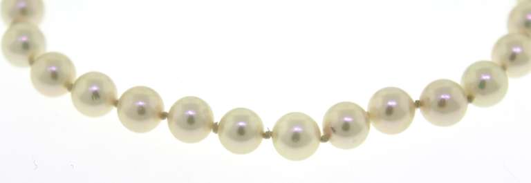 Elegant Pearl Bracelet with Gold Clasp