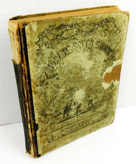 1859 How Plants Grow Antique Botany Book