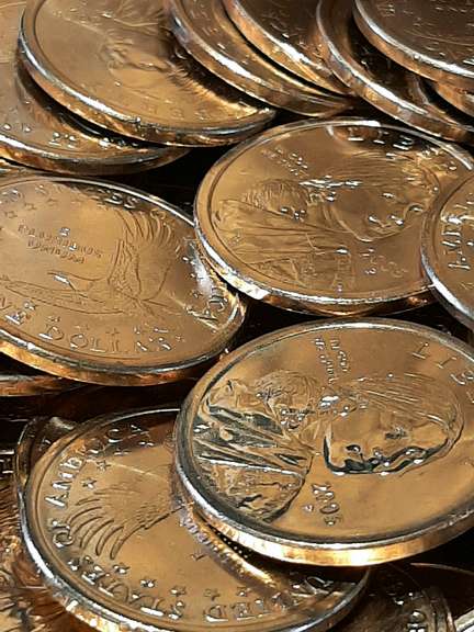 250 2005 P Sacagawea Unc Dollars
