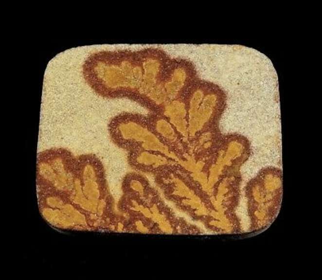 77.22ct German Psilomelane Dendrite