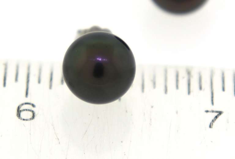 Fancy White Gold Black Pearl Stud