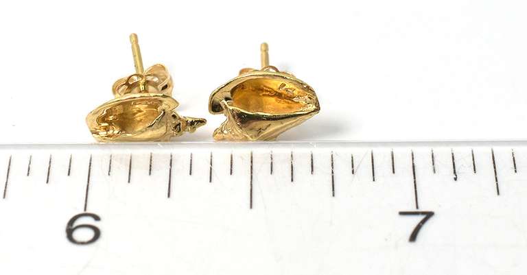 Precious 14KT Yellow Gold Conch Earrings