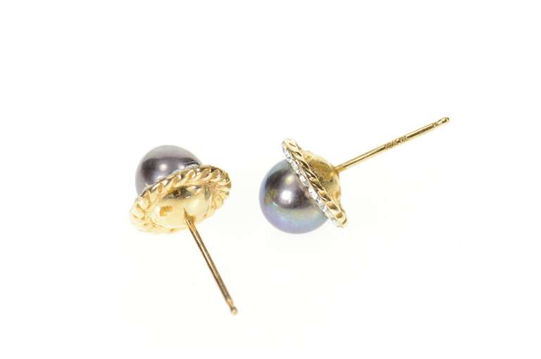 10K Yellow Gold Black Pearl Rhinestone Halo Accent Stud Earrings