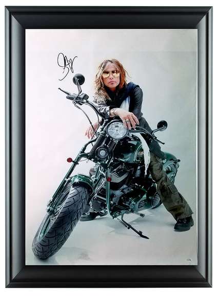 Steven Tyler Autographed Framed 24x36 Canvas w Video Proof