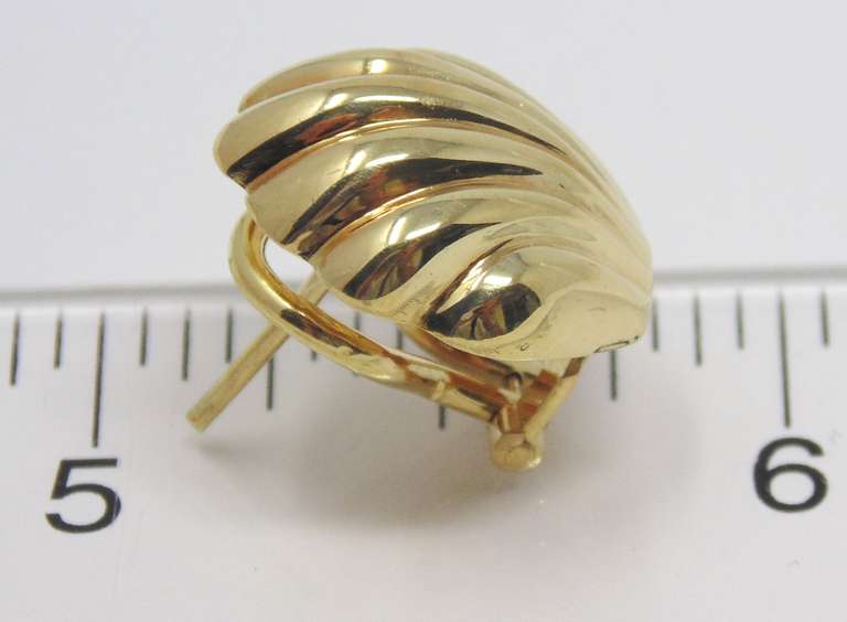 Beautiful 18kt Yellow Gold Shell Earrings